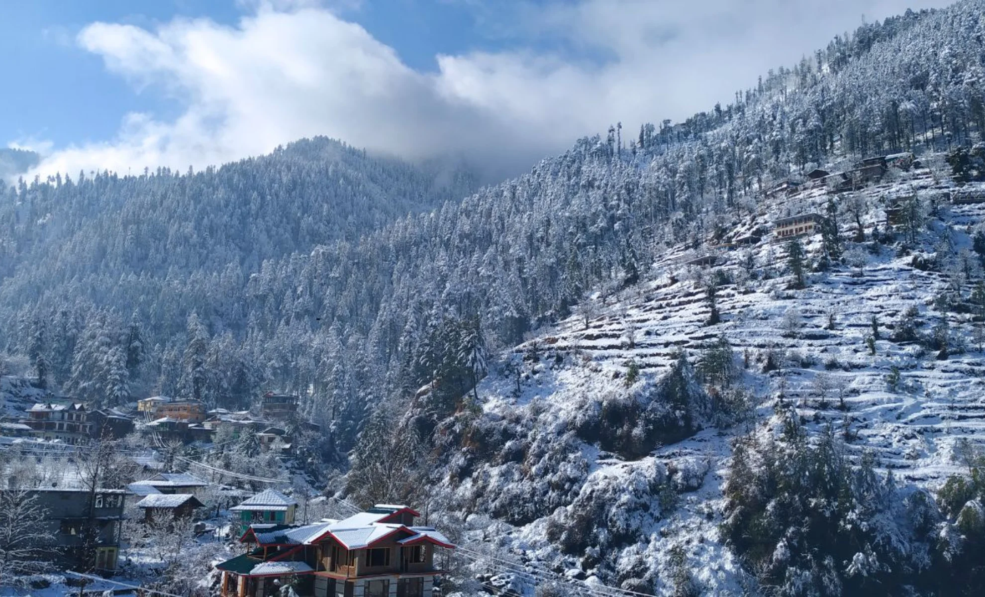 Shoja Jibhi & Tirthan Valley Tour Package