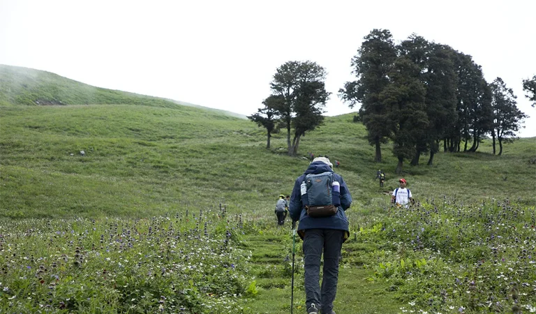 Bhrigu-Lake-Trek-2