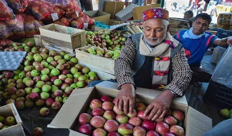 Rohru-Apple-Market
