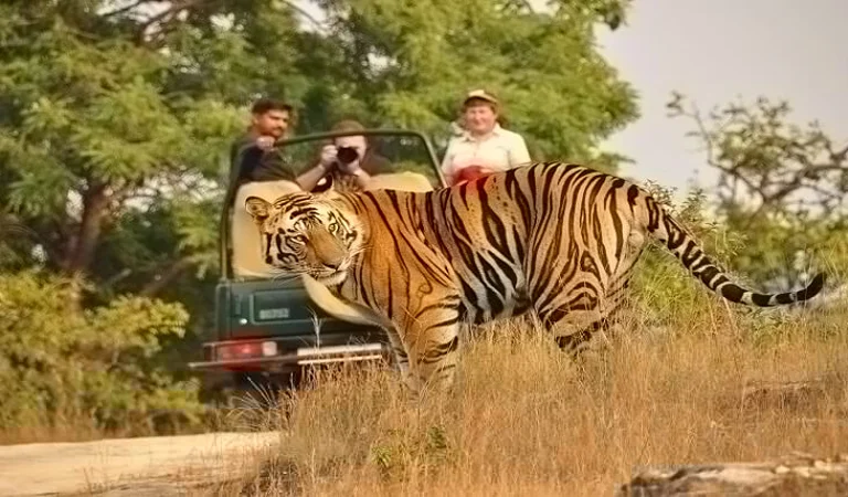 Jim-Corbett-park